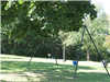 Terraceview Park Swings