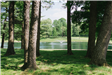 Memorial Park Pond