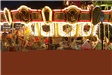 Carousel at the Carnival