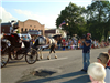 Horse Pulls Buggy in Parade