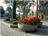 Planters in Downtown Wadsworth