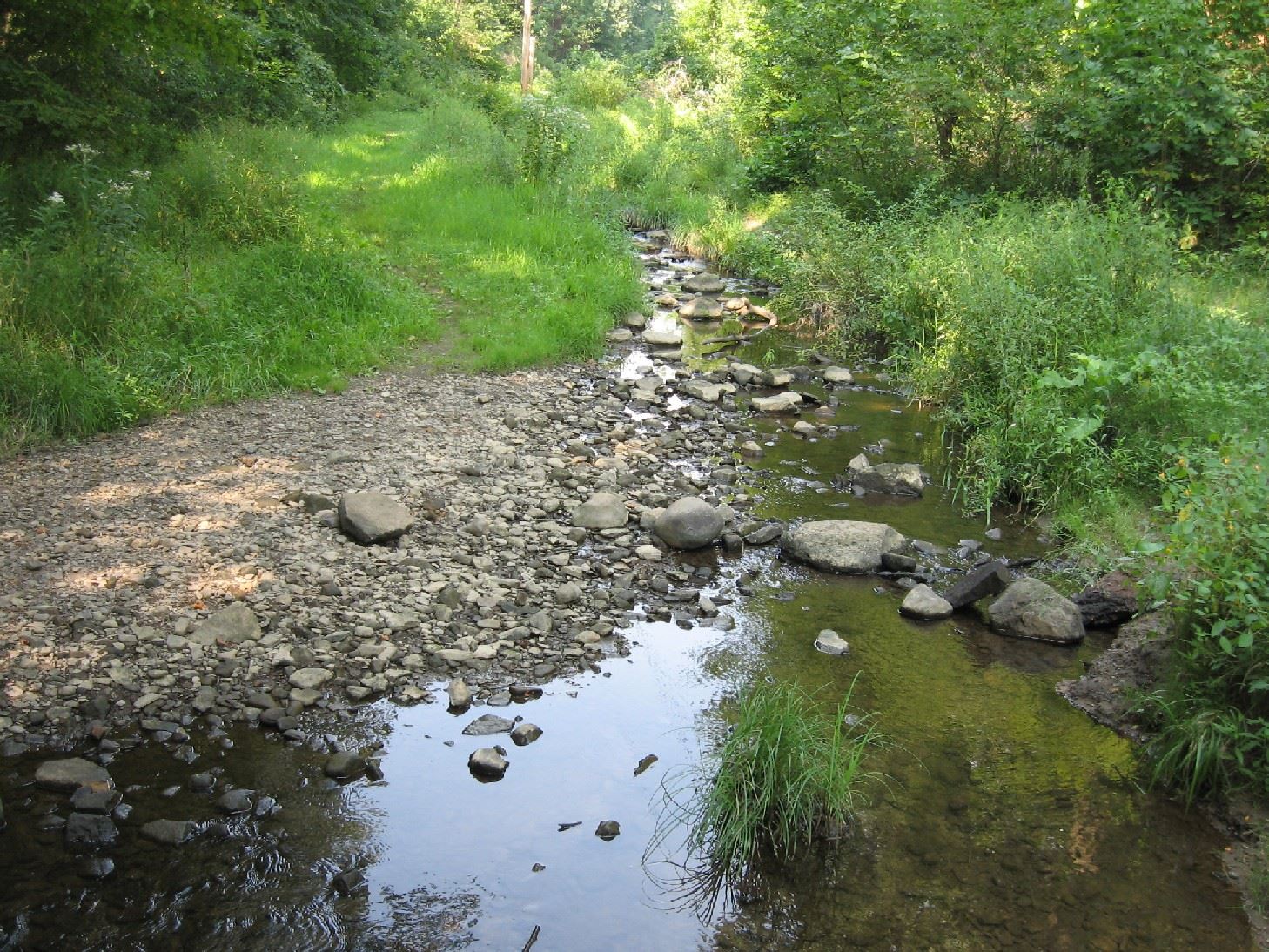 Holmesbrook Park Creek