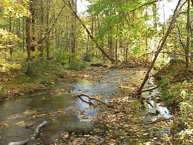 Holmesbrook Park in the Fall