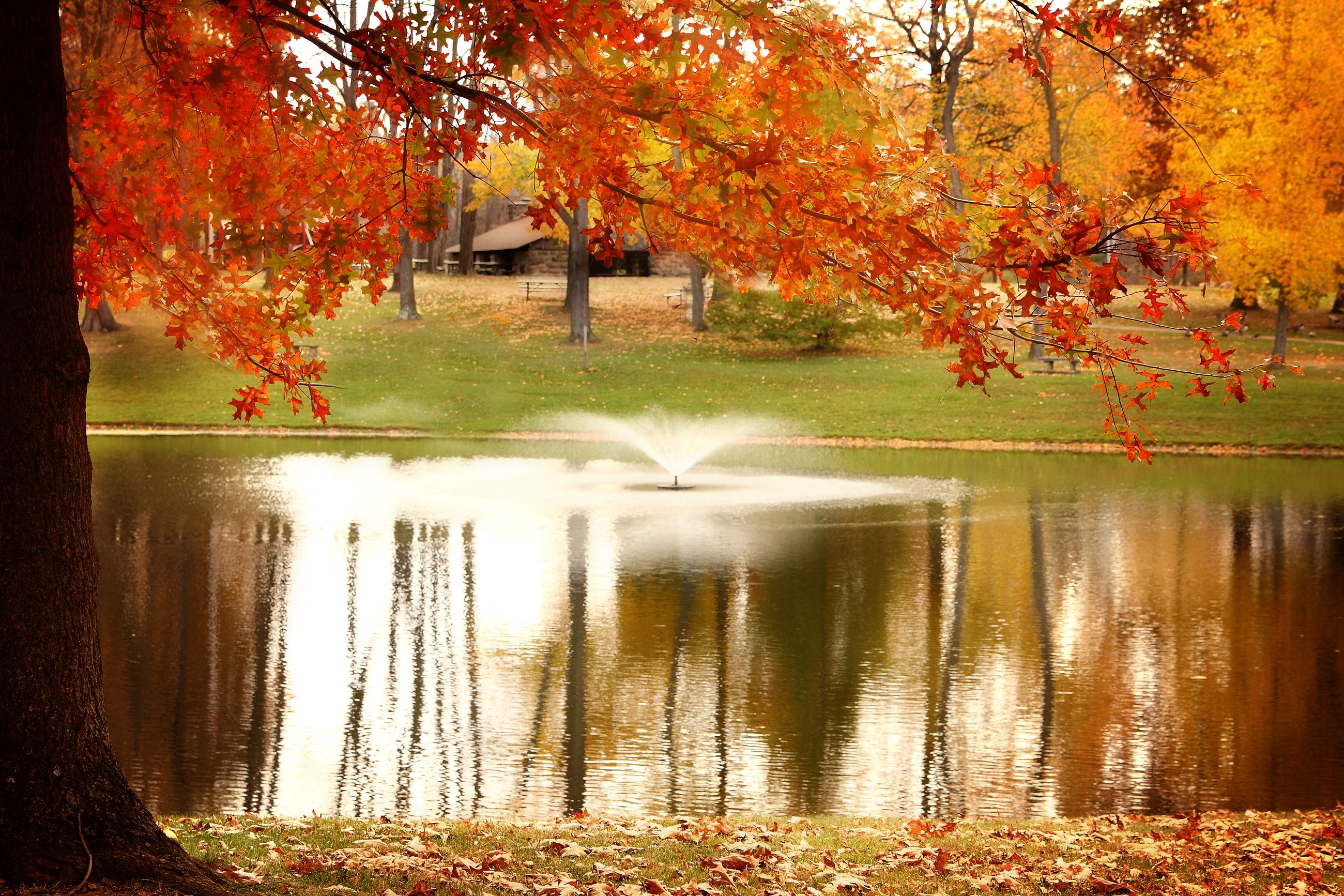Memorial Park Pond in the Fall