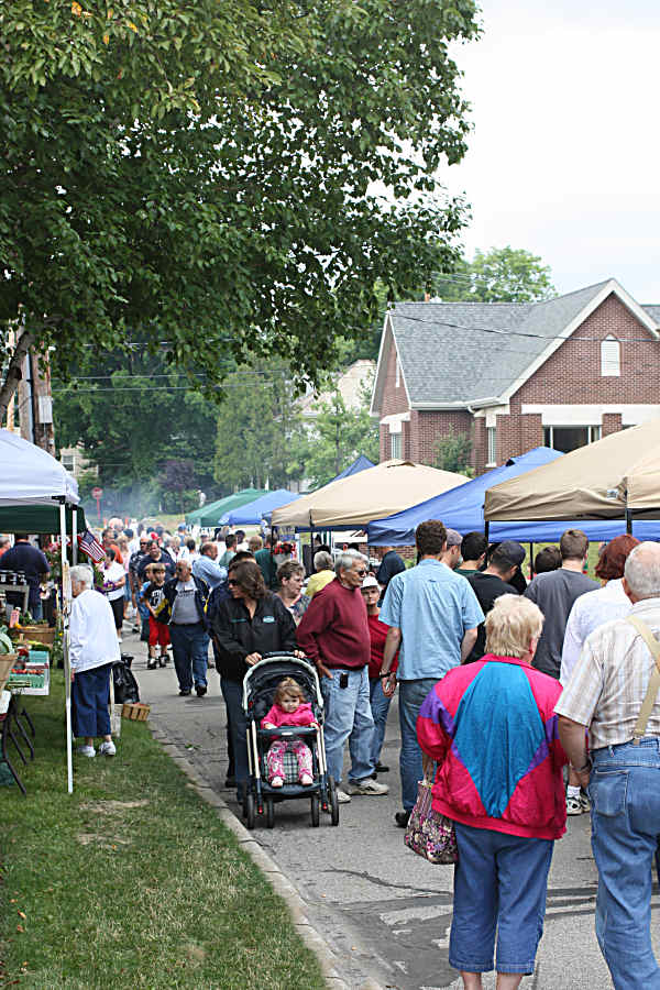 Rib Festival Crowd Browsing Booths