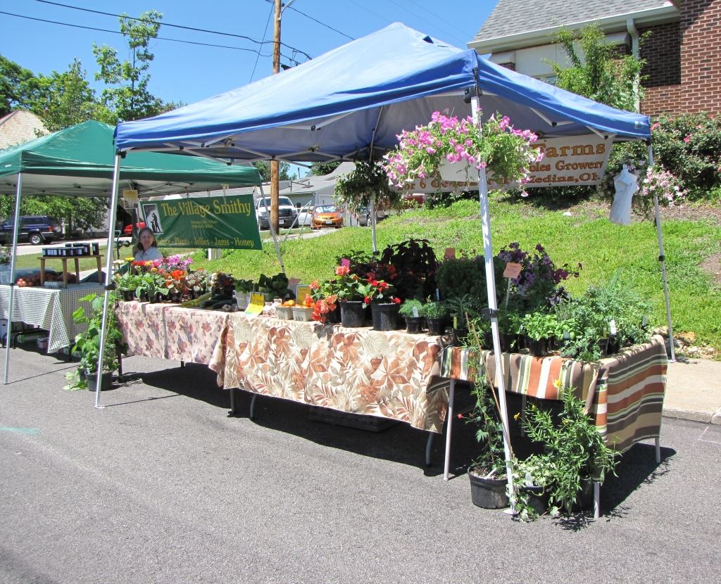 Booth Selling Plants and Homegrown Vegetables