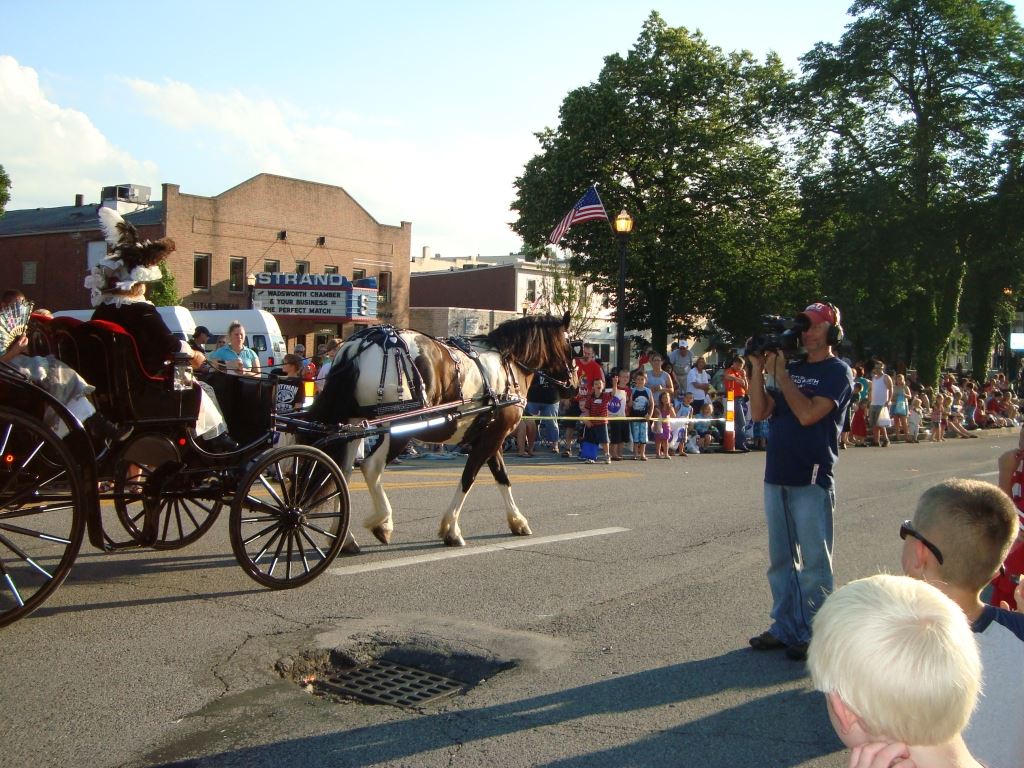 Horse Pulls Buggy in Parade