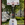 Basketball Hoop (Sponsors: Wadsworth-Rittman Hospital and Summa Health System)