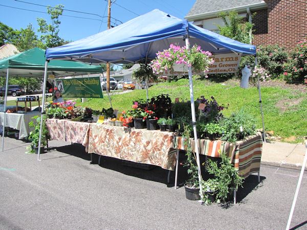 Outdoor booth with plants.