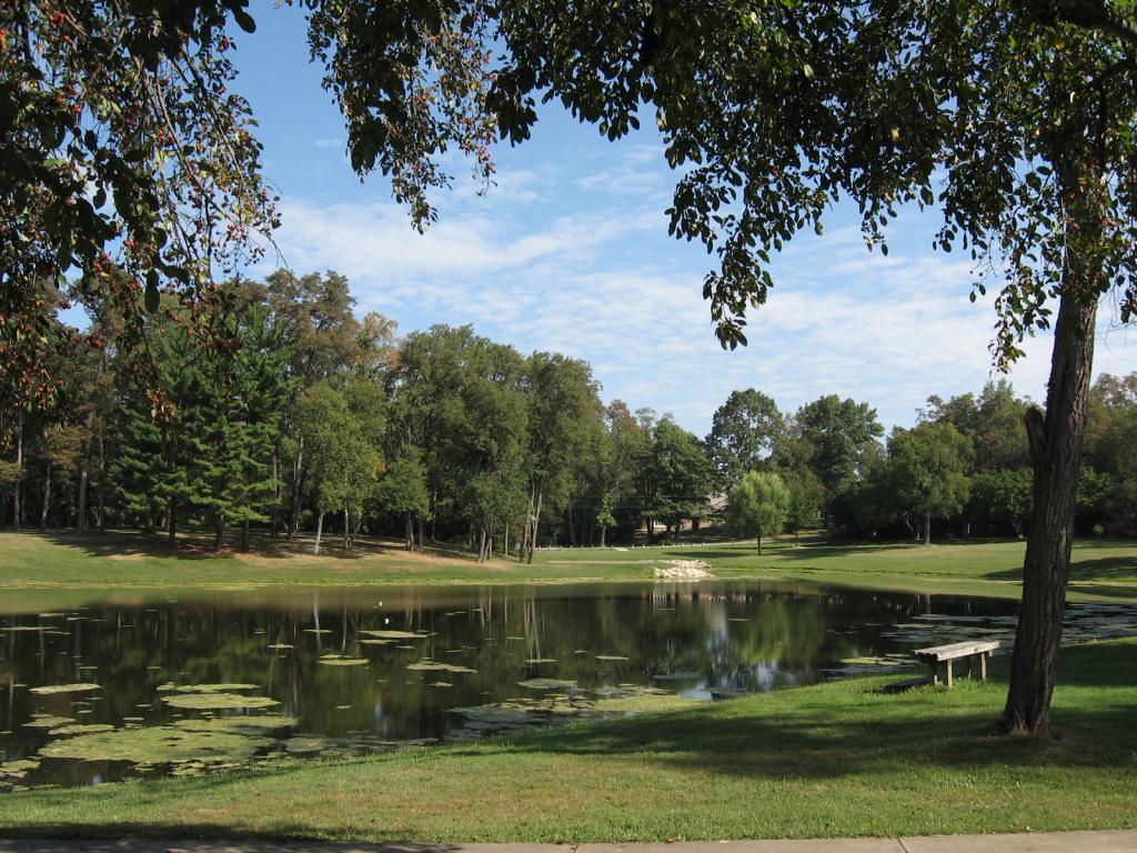 Memorial Park Pond