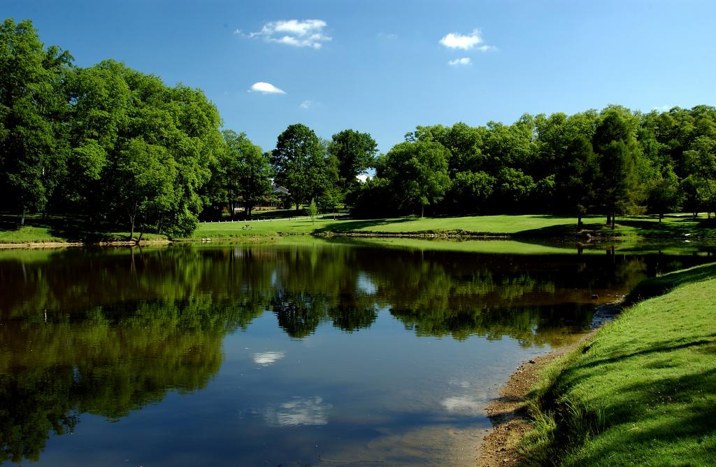 Memorial Park Pond and Full Green Trees