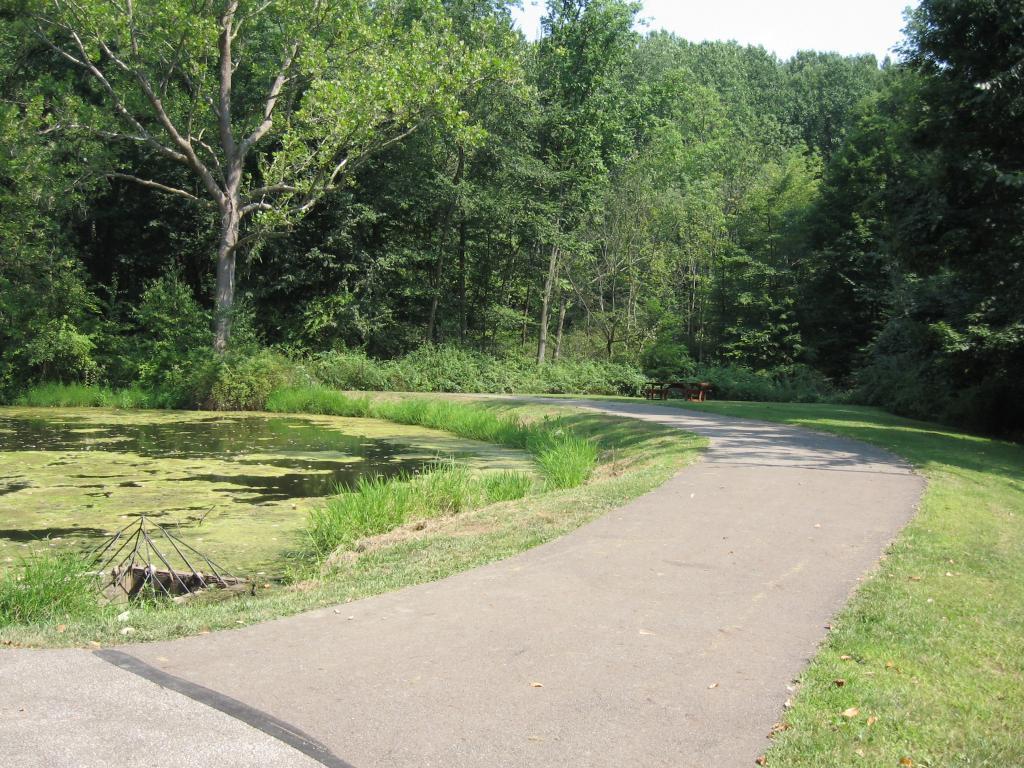 Holmesbrook Park Walking Path Bends Around Water