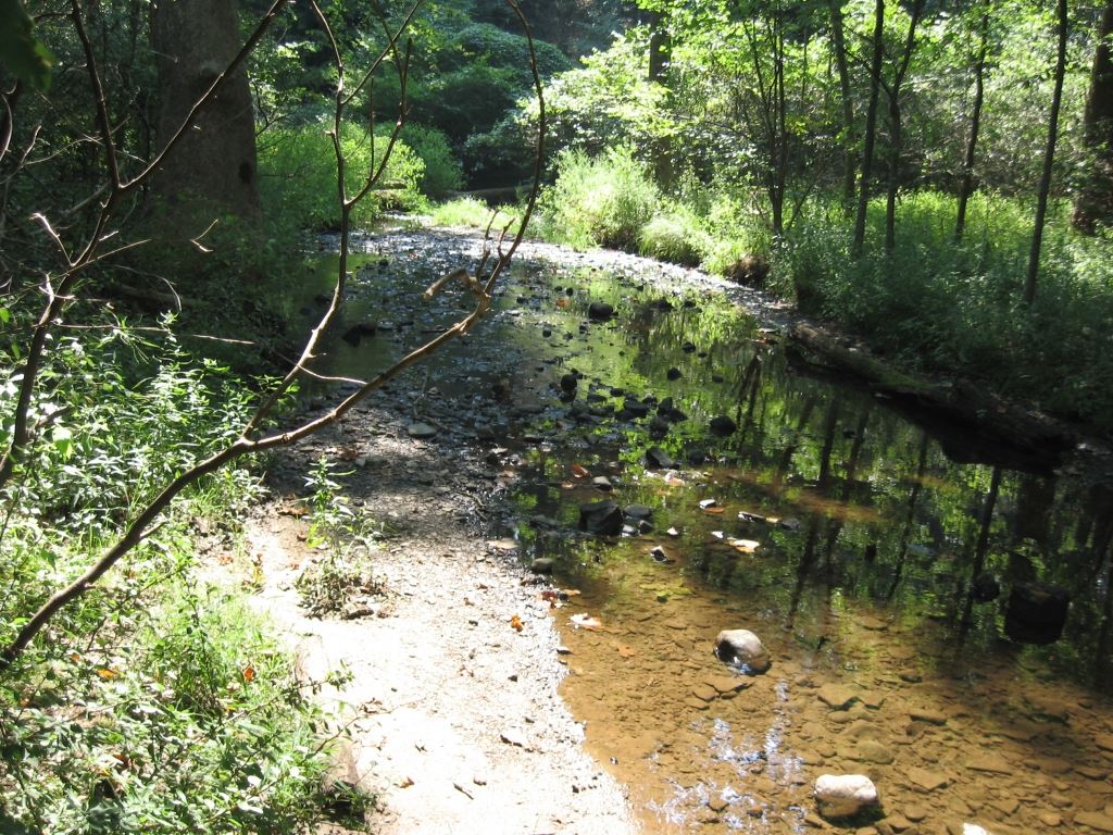 Holmesbrook Park Creek