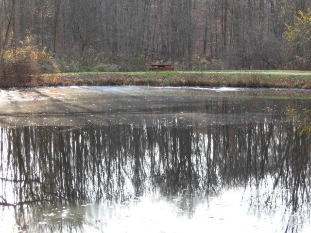 Holmesbrook Park Picnic Table Next to Water