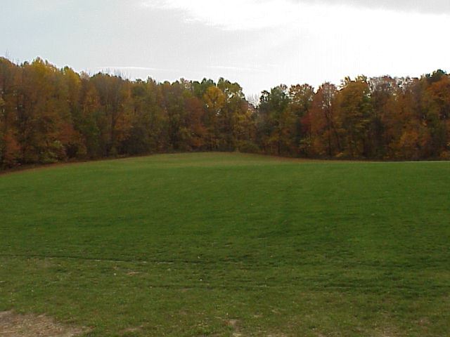 Friedt Park Grassy Hill