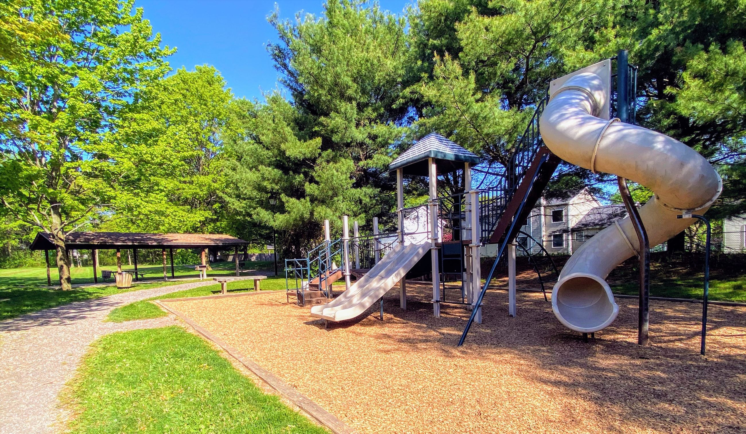 IMG_4701 Copy Copy (2)