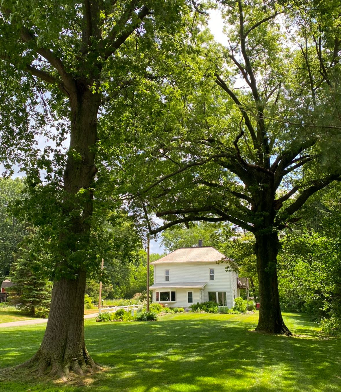 15254778-B06E-4F73-944E-DF9467E189A2