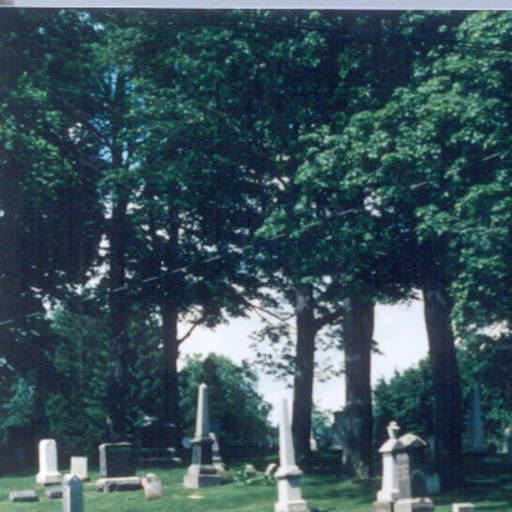 tombstones and trees